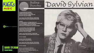 David Sylvian - Pulling Punches