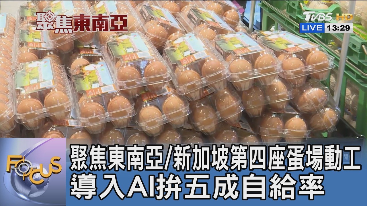 聚焦東南亞/新加坡第四座蛋場動工 導入AI拚五成自給率