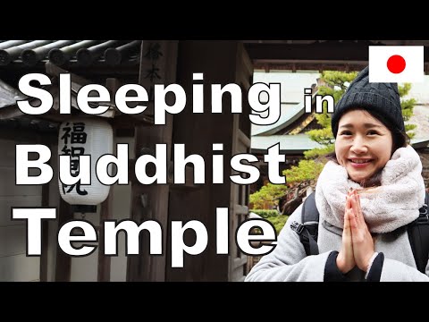 Sleeping in a Buddhist Temple!! in Koyasan! Japanese listening practice (Only Japanese)English subs