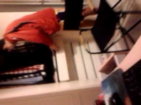 Ifyousay cracy hammster:asi es como se preparan