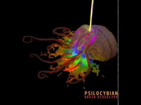 Psilocybian - Interconnectedness
