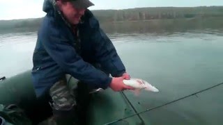 НЕВЕРОЯТНЫЙ КЛЕВ ЩУКИ И ОКУНЯ НА ДЖИГ