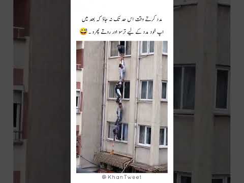 Duniyan ke Aqalmand insan.😅😂