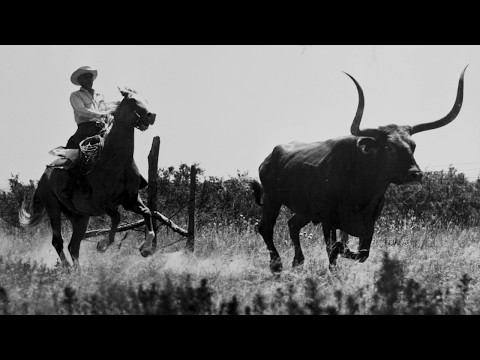 The Trail That Changed Texas