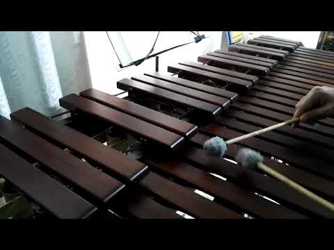 Inni di lode N°449: Soffrì per me Marimba Cover