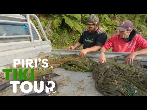 Catching Eel's, Urewera styles in Ruatoki - Piri's Tiki Tour S2 Ep11