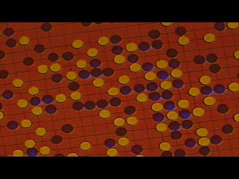 wizkid & drake - come closer﹝slowed + reverb﹞