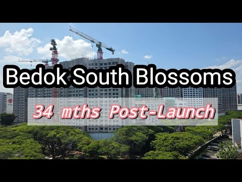 [16 Mar 2026] Bedok South Blossoms HDB BTO Construction Progress