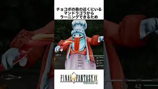 FF解説【9999カンスト確定技4選(FF9)】