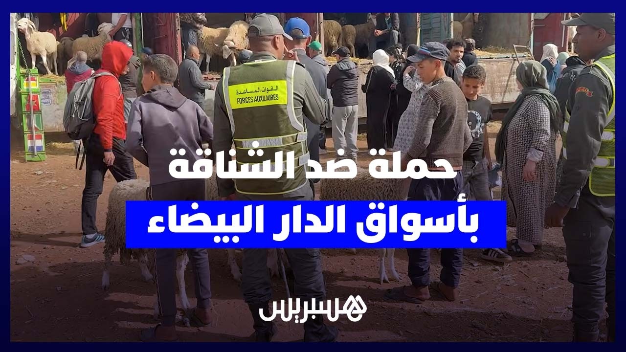 سلطات البيضاء تشدد المراقبة داخل أسواق الأغنام لمواجهة “الشناقة” thumbnail