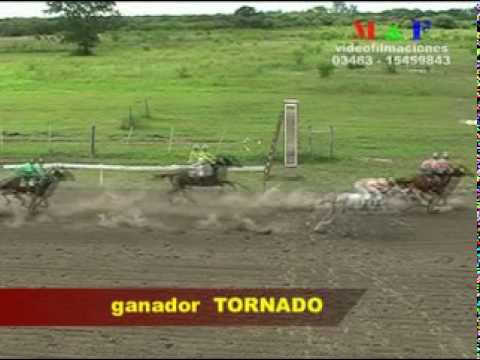 1° Carrera-Hipodromo LA ILUSION-Domingo 14 de febrero de 2010