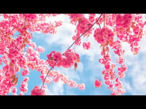 Musica per sviluppare il pensiero positivo e rafforzare la memoria