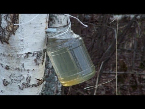 zhalevich psihosomatske hipertenzija