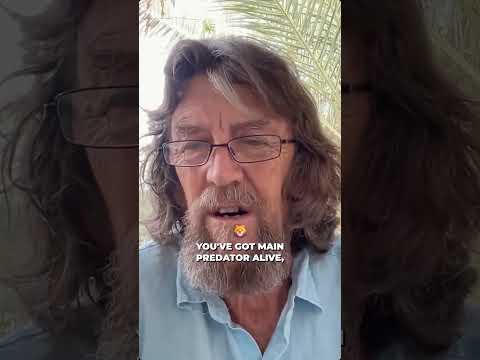 Nature's Zero Waste: A Permaculture Principle