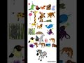 ABC Animals