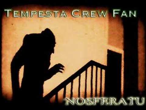 Tempesta Crew - Summer Day