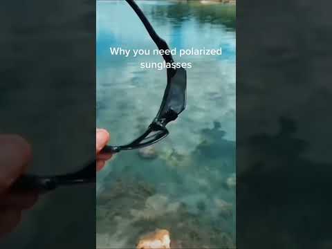 The best sunglasses in the world for fishing! #shorts