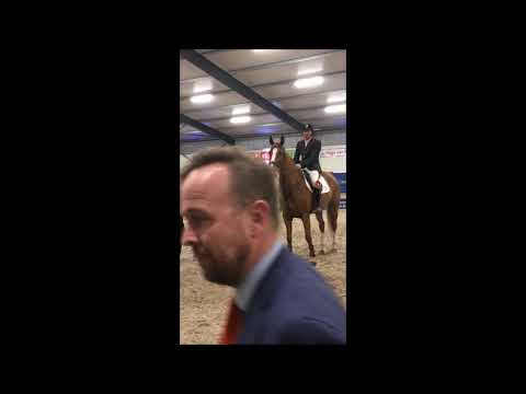 Randstadcup 2020 klasse ZZ paarden