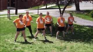 FDG Wars 2013 - Llamas Dance