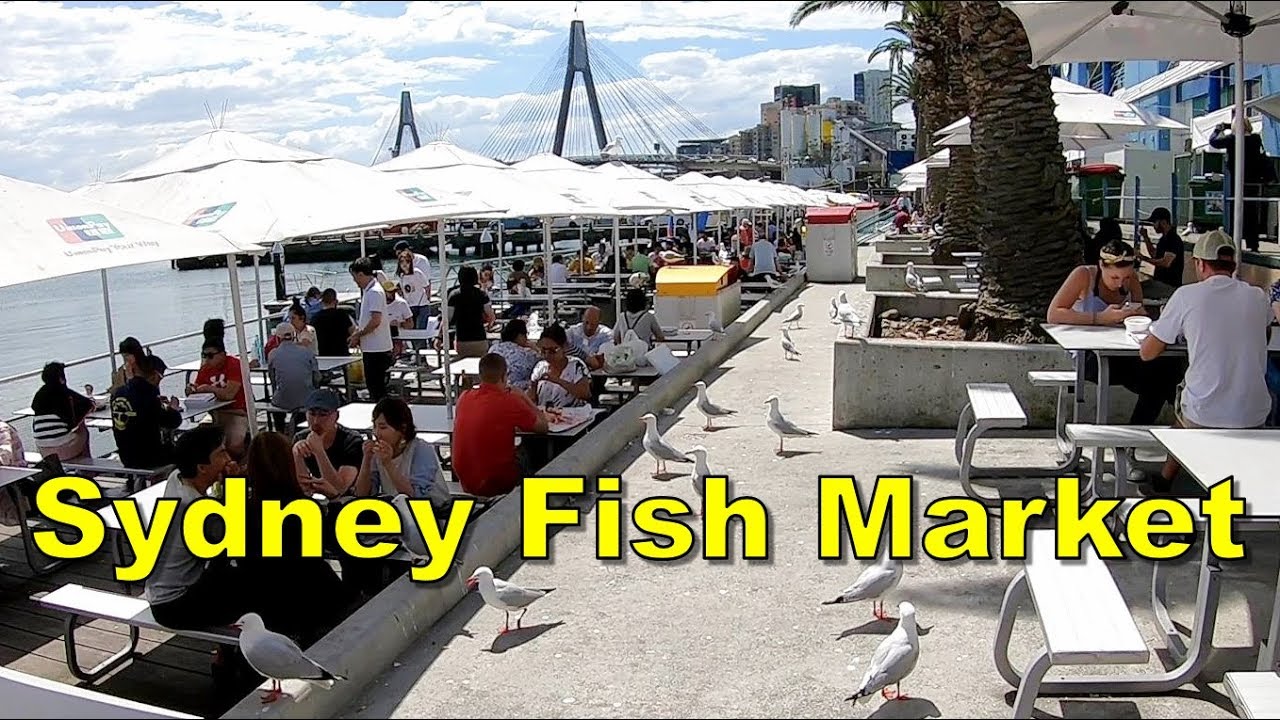 Sydney Fish Market - Sydney Australia