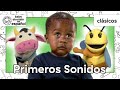 Descubrimientos Para Pequeños Oídos Clásicos De Baby Einstein BabyEinsteinenEspanol
