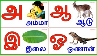 Uyir Ezhuthukal  Learn Tamil Alphabets/  உயி