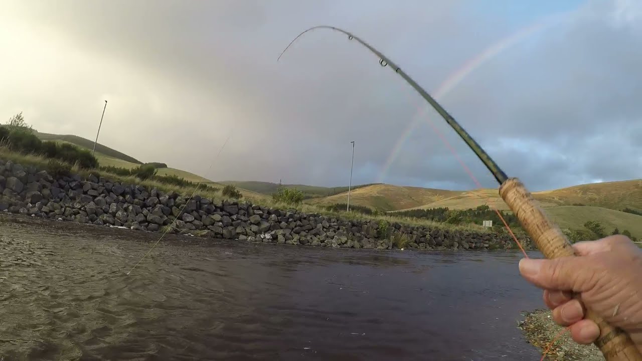 Salmon fishing at Cardrona 1st October 2021