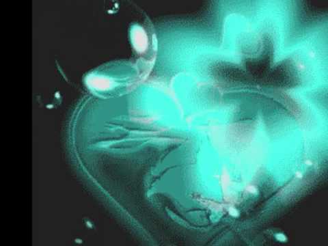 wafik Habib 2009  muzik 2009