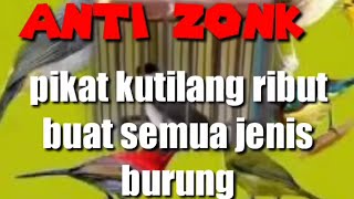 Download lagu suara pikat kutilang ribut kombinasi pikat burung kecil mp3 Download lagu suara pikat kutilang ribut kombinasi pikat burung kecil mp3