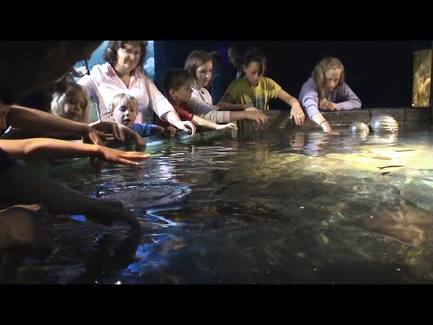 27 Jul 2005 · Video footage from today's ride - 2021 Full Remaster