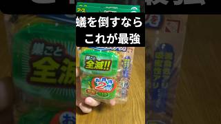 蟻に悩んだらコレが最強