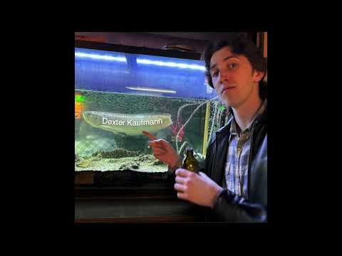 Dexter Kaufmann - College Radio Mix Vol. 1