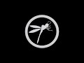 Dragonfly CGI VFx