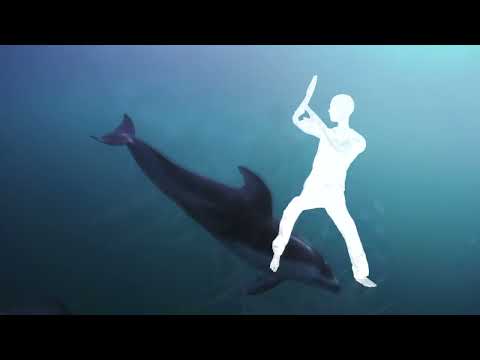 Disco Darlings - Funky People  (alan walker too - famous songs mix - viral song all songs remix)