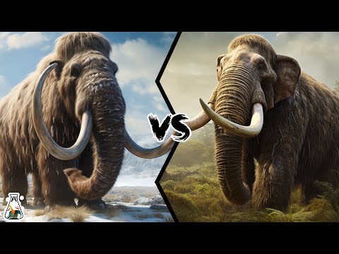 Mammoth vs Mastodon – Which Was More Powerful?
