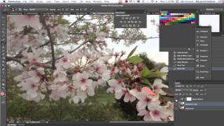 Creating Vintage "Hand Colored" Black and White Photos in Photoshop