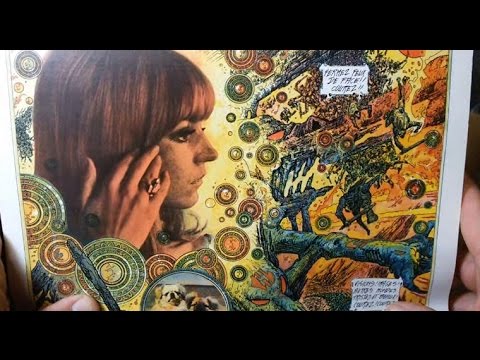 panellogy 044 - philippe druillet #2