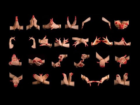 SAMYUTA HASTAS (double hand gestures) with Shloka| Classical dance.