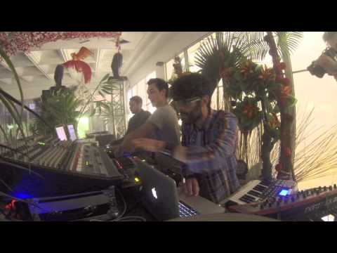 The RealBirds Live @ Marvellous Island Festival 2013