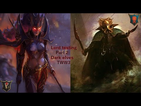 Are you interested in the Dark elves? Crone Hellebrone & Lokhir Fellheart Lord testing video. TWW3