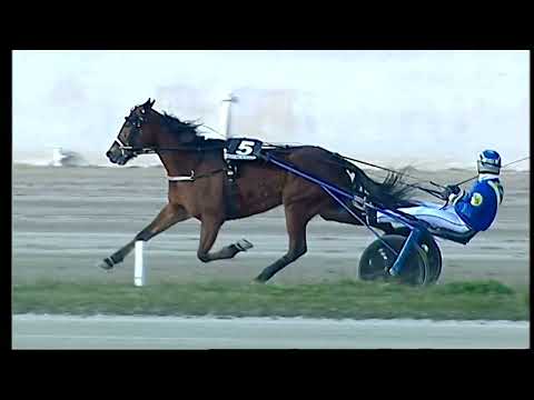 Napoli Trotto 08/03/2022 - 6ª corsa