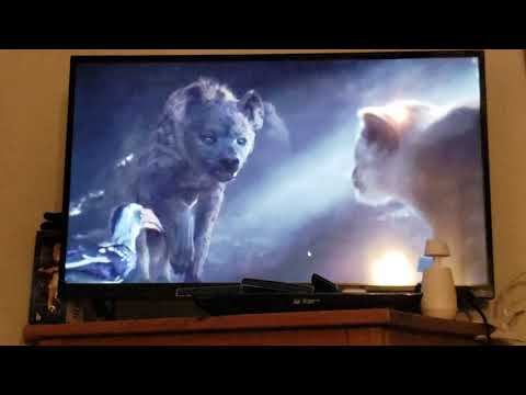 Mufasa saves simba and nala