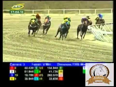 LA RINCONADA 3 CARRERA, DOMINGO 17 DE ABRIL DEL 2016