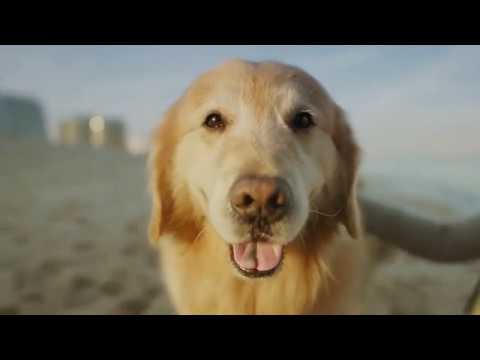Youtube video image
