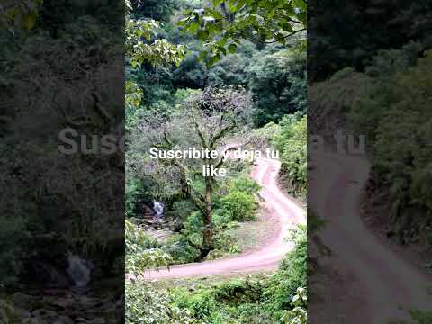 Libertador General San Martín jujuy