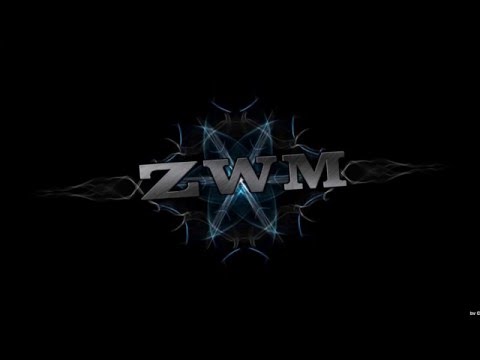 ZWM - Mamy To (2016)