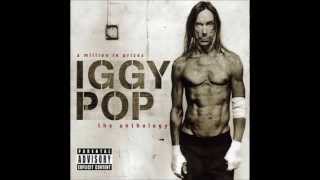 Iggy & The Stooges "Louie Louie"