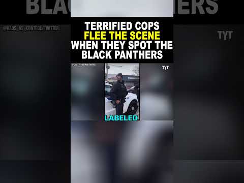 Black Panthers Give a Legal Lesson to Terrified Cops