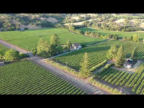 1499 Moody Lane | Geyserville, CA - The Agency