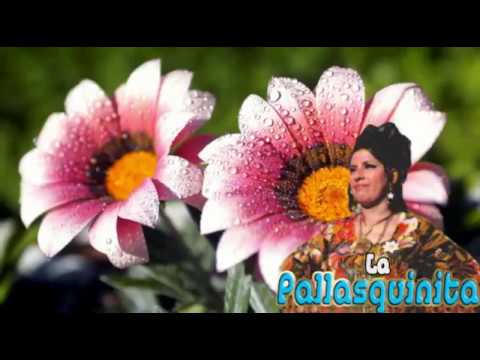 MIx La Pallasquinita Huaynos de Oro- Ancash